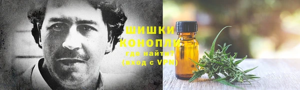 крисы Бронницы