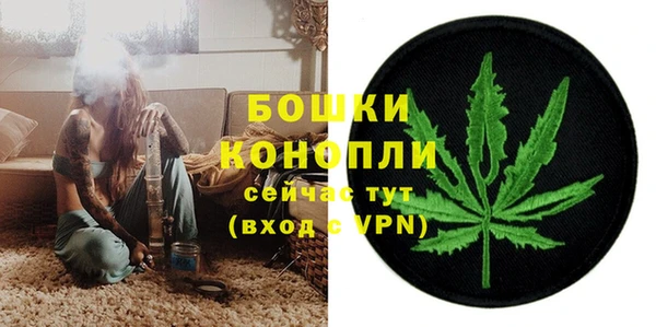 крисы Бронницы