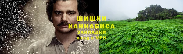 крисы Бронницы