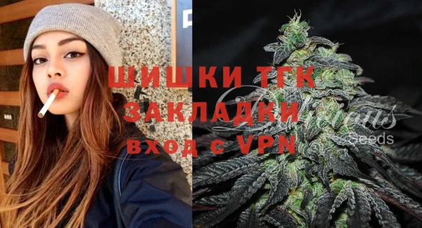 крисы Бронницы