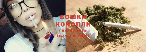 крисы Бронницы