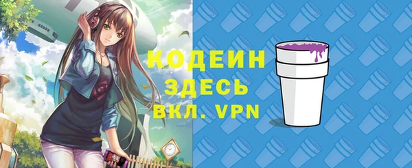 крисы Бронницы