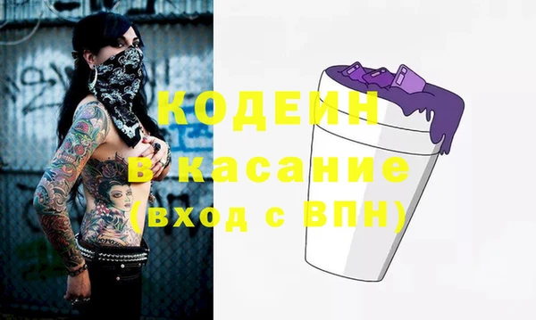 крисы Бронницы