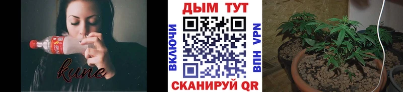 Конопля семена Бронницы